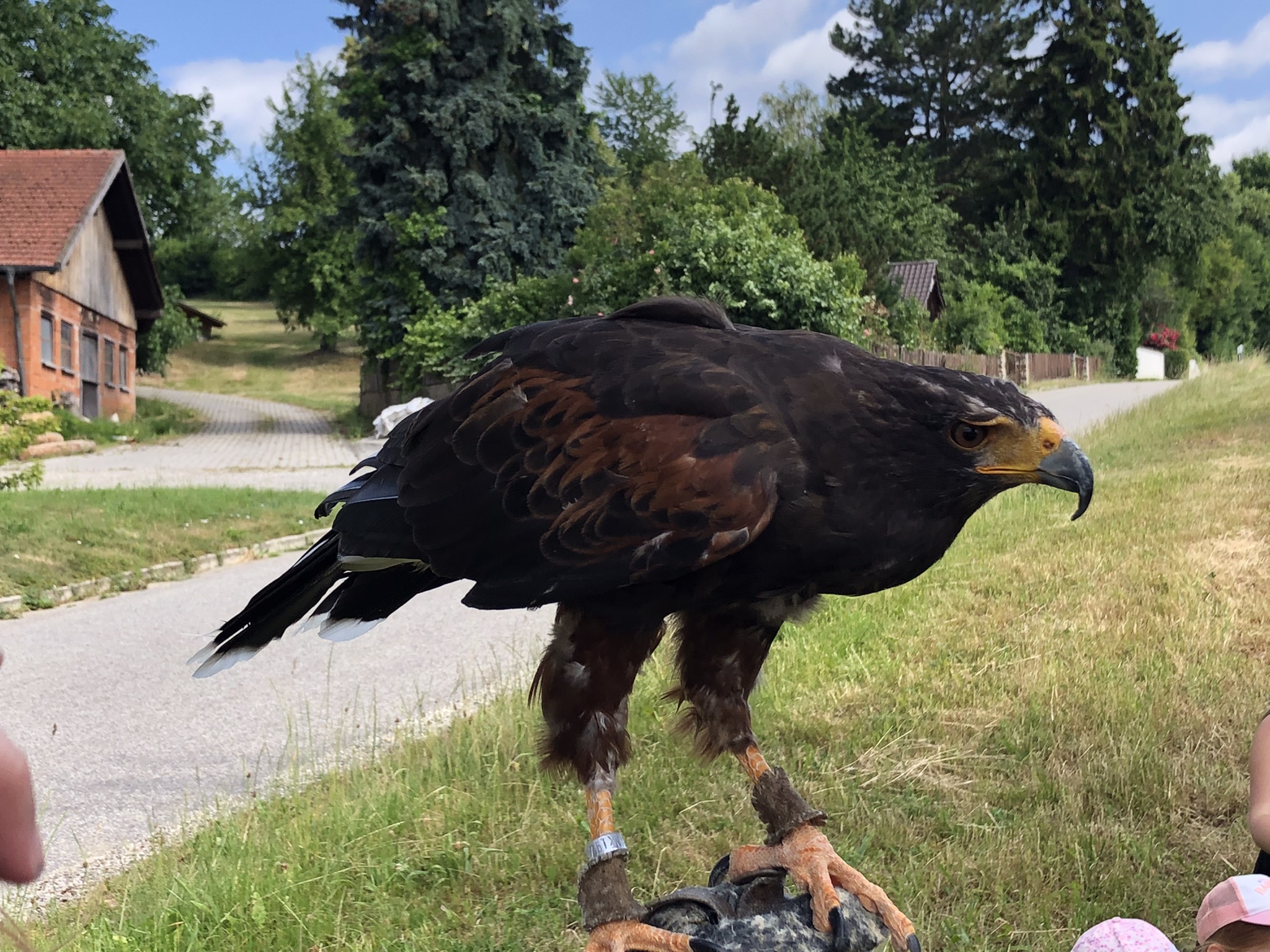 Kindergartenausflug mit besonderem Besuch